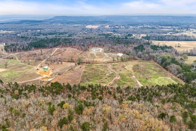 Experience luxury country living in this beautiful brick estate - photo 45