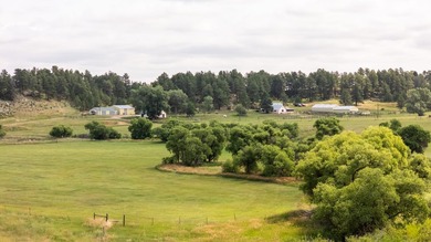 Presenting A Bar Ranch in Douglas County Colorado, a front range - photo 46