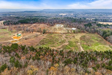Experience luxury country living in this beautiful brick estate - photo 48