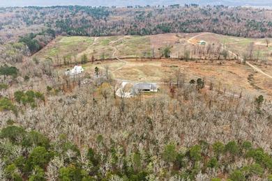 Experience luxury country living in this beautiful brick estate - photo 49