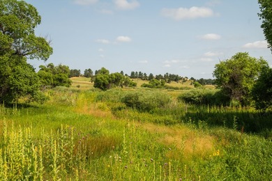 Presenting A Bar Ranch in Douglas County Colorado, a front range - photo 49
