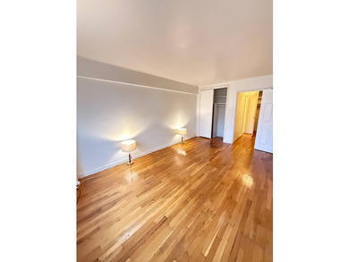Large sunny south facing coop apartment in heart of Downtown - photo 3