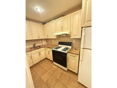 Large sunny south facing coop apartment in heart of Downtown - photo 4