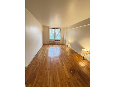 Large sunny south facing coop apartment in heart of Downtown - photo 7