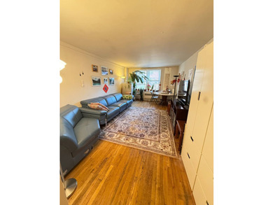 Large sunny south facing coop apartment in heart of Downtown - photo 8