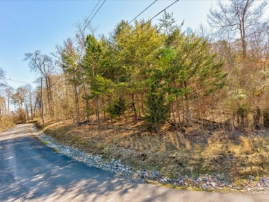 Build Your Cherokee Lake Retreat in a Gated Community SOLD - photo 10