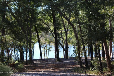 Lake Lot For Sale in Chipley, Florida
