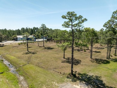 NEW LISTING! EXTRAORDINARY ASSEMBLAGE of approximately 3.73 - photo 15