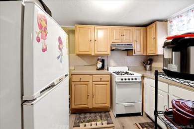 Morris Park Brick Detached Single family with finished basement - photo 23