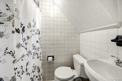 Morris Park Brick Detached Single family with finished basement - photo 24