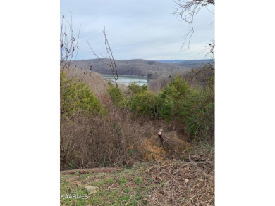 Great Building Lot  - Lake Lot For Sale in New Tazewell, Tennessee