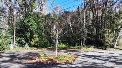 Lake Lot For Sale in Tallahassee, Florida