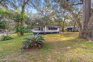 Lake Panasoffkee Home For Sale in Lake Panasoffkee Florida