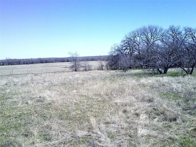 (private lake, pond, creek) Acreage For Sale in Chico Texas