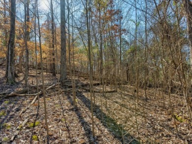 Build Your Cherokee Lake Retreat in a Gated Community SOLD - photo 11