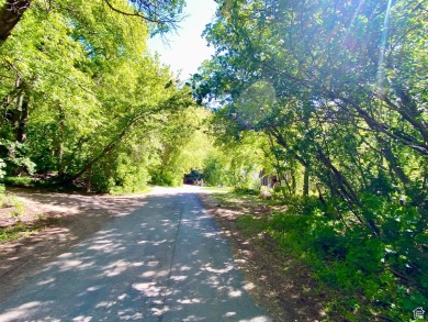 Utah Lake Lot For Sale in Springville Utah