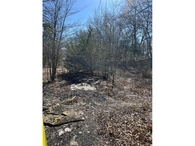 Affordable lot near the lake, out in the country with NO known - photo 4