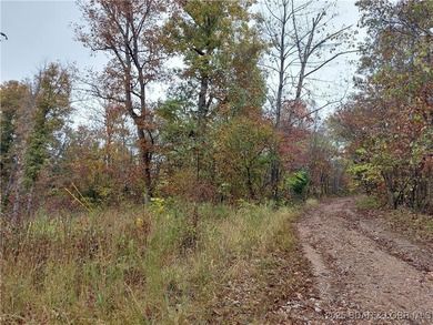 6+/- Acres with electric access in multiple areas saving you - photo 2