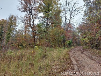 6+/- Acres with electric access in multiple areas saving you - photo 2