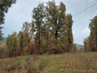6+/- Acres with electric access in multiple areas saving you - photo 4