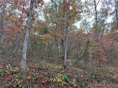 6+/- Acres with electric access in multiple areas saving you - photo 6