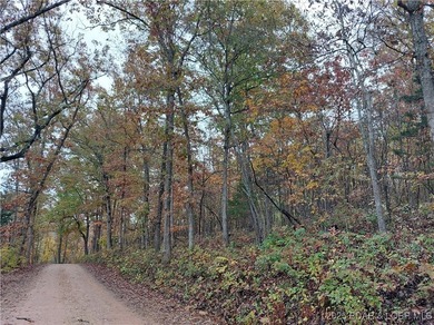 6+/- Acres with electric access in multiple areas saving you - photo 7