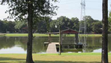 Lakefront Property with Cabin - photo 8