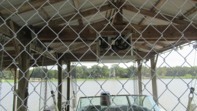 Lakefront Property with Cabin - photo 12