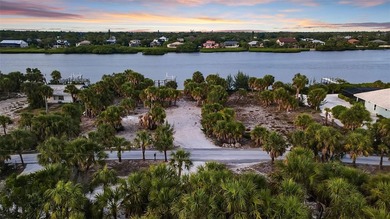 This is the rare blank canvas--a true Gulf-to-Bay homesite - photo 17