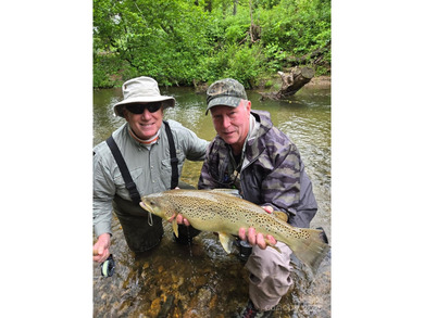 (private lake, pond, coastal) Acreage For Sale in Zirconia North Carolina