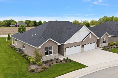 (private lake, pond, creek) Townhome/Townhouse Active Under Contract in New Lenox Illinois