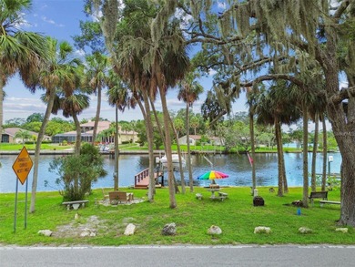 (private lake, pond, creek) Home For Sale in New Port Richey Florida