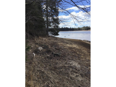 Lake Acreage For Sale in East Machias, Maine
