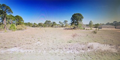 Lake Grassy Lot For Sale in Lake Placid Florida