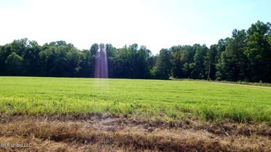 (private lake, pond, creek) Acreage For Sale in Bruce Mississippi