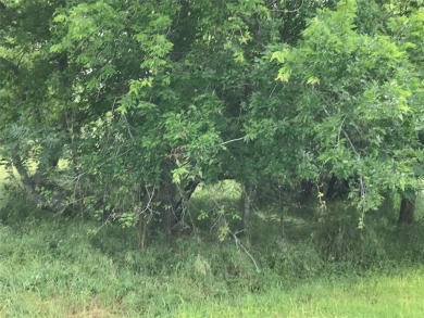 Lake Lot For Sale in Whitney, Texas
