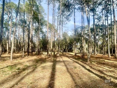 Discover 40 acres of pure freedom & natural beauty, where - photo 12