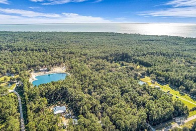 Discover 40 acres of pure freedom & natural beauty, where - photo 21