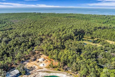 Discover 40 acres of pure freedom & natural beauty, where - photo 22