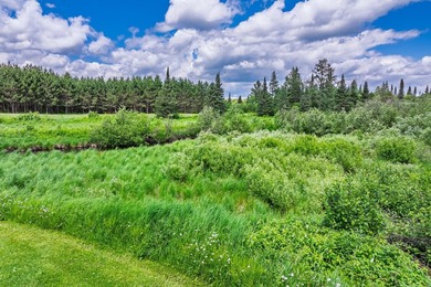 This exceptional Northwoods property offers 170+/- acres of - photo 38