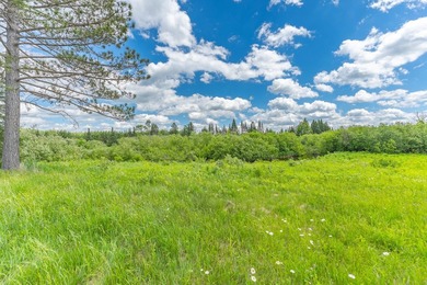 This exceptional Northwoods property offers 170+/- acres of - photo 39