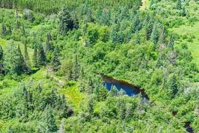 This exceptional Northwoods property offers 170+/- acres of - photo 40