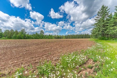 This exceptional Northwoods property offers 170+/- acres of - photo 41
