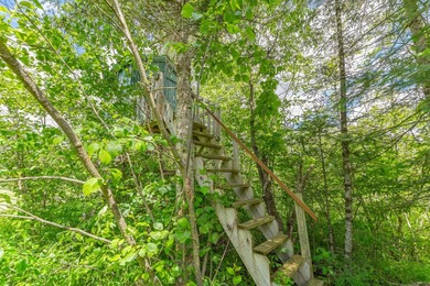 This exceptional Northwoods property offers 170+/- acres of - photo 42