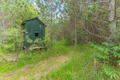 This exceptional Northwoods property offers 170+/- acres of - photo 44