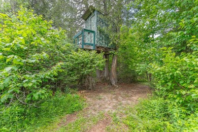 This exceptional Northwoods property offers 170+/- acres of - photo 45