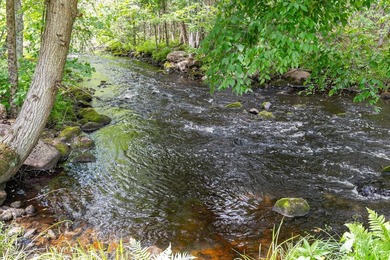 This exceptional Northwoods property offers 170+/- acres of - photo 47