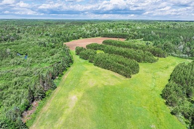 This exceptional Northwoods property offers 170+/- acres of - photo 48