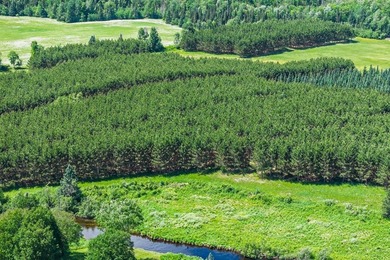 This exceptional Northwoods property offers 170+/- acres of - photo 49