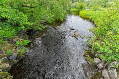 This exceptional Northwoods property offers 170+/- acres of - photo 50